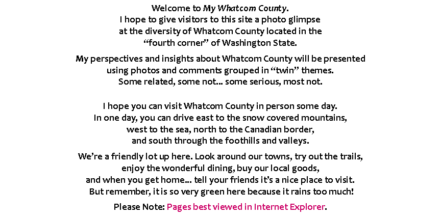 Text Box: Welcome to My Whatcom County. 
I hope to give visitors to this site a photo glimpse 
at the diversity of Whatcom County located in the
fourth corner of Washington State.My perspectives and insights about Whatcom County will be presented 
using photos and comments grouped in twin themes.
Some related, some not... some serious, most not.
I hope you can visit Whatcom County in person some day.
In one day, you can drive east to the snow covered mountains, 
west to the sea, north to the Canadian border, 
and south through the foothills and valleys.Were a friendly lot up here. Look around our towns, try out the trails, 
enjoy the wonderful dining, buy our local goods, 
and when you get home... tell your friends its a nice place to visit.
 But remember, it is so very green here because it rains too much! Please Note: Pages best viewed in Internet Explorer.